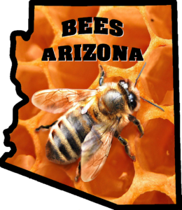 Bees Arizona